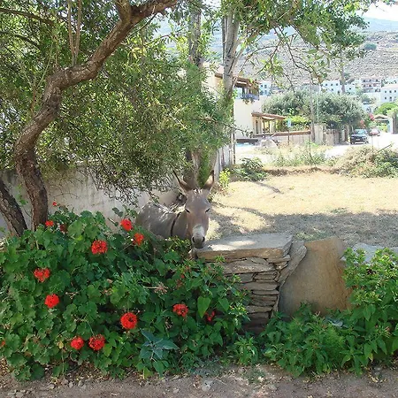 Apartment Likio Batsi (Andros)